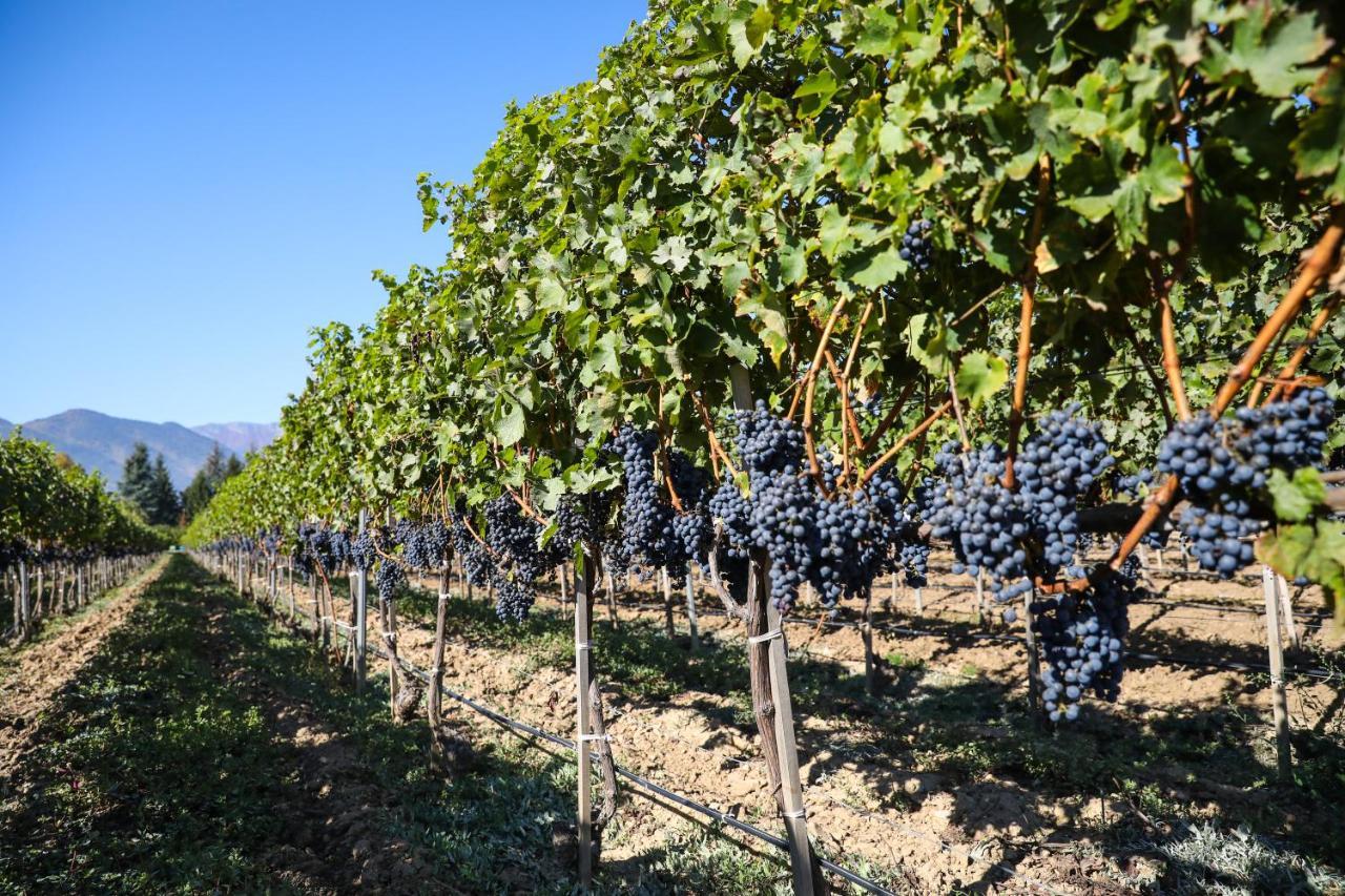 Uva Nestum Wine&SPA Gotse Delchev Exterior foto